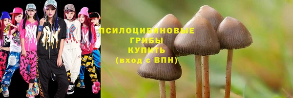 spice Армянск