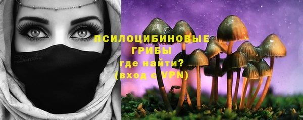 spice Армянск
