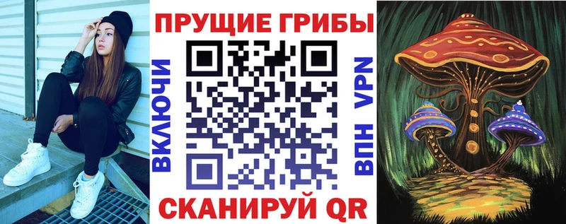 магазин продажи наркотиков  Коломна  KRAKEN как зайти  Псилоцибиновые грибы MAGIC MUSHROOMS 