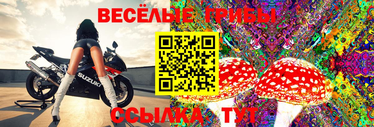 Псилоцибиновые грибы Psilocybine cubensis  Вход с VPN  Галлюциногенные грибы прущие грибы  Коломна 